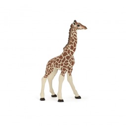 Giraf Kalf