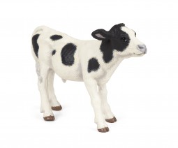 Koe Kalf Holstein